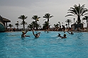 Kanary_2010 074